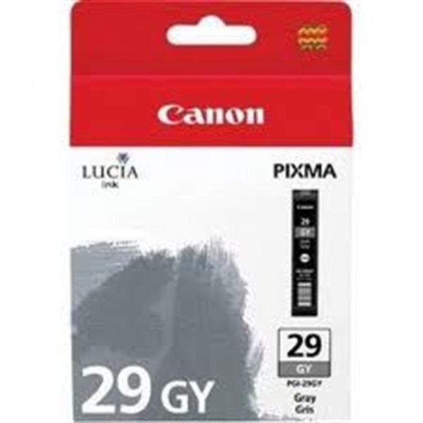 Cartouche Canon PGI-29GY (4871B001) Original Gris